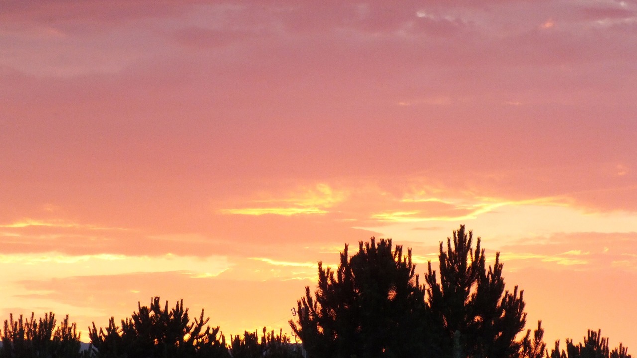 Photo of Outdoor in Toston