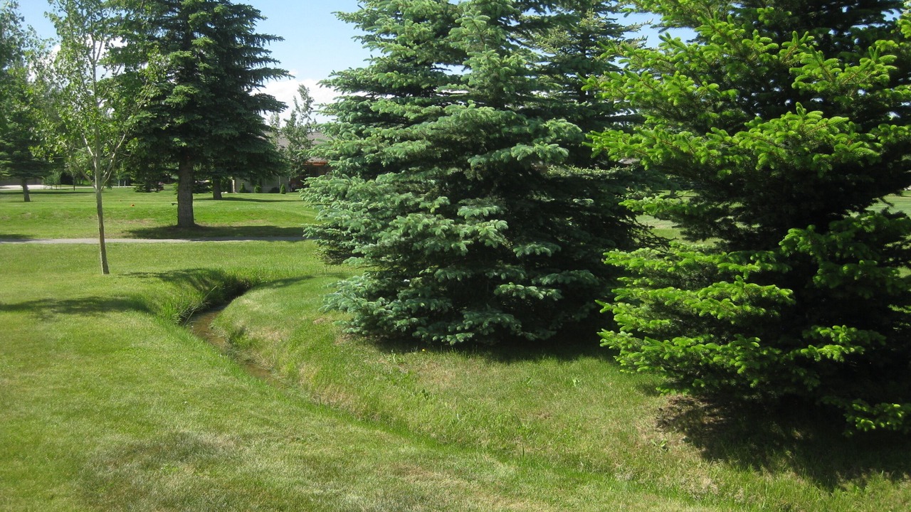 Photo of Outdoor in Red Lodge