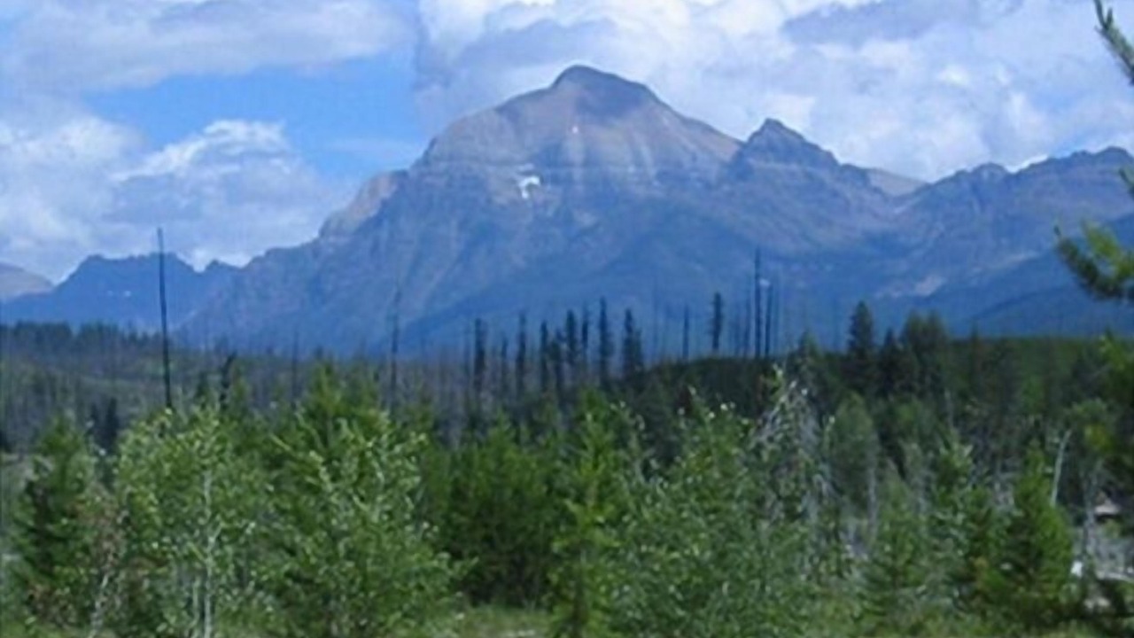 Photo of Others in Polebridge