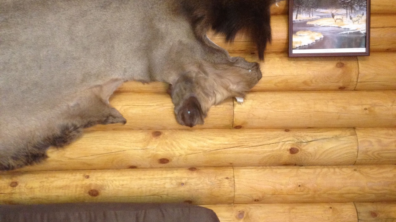 Photo of Others in Superior