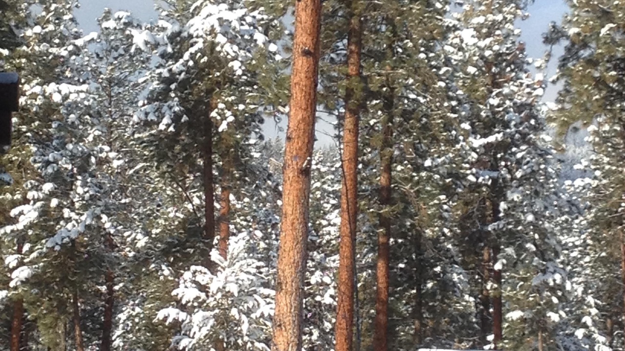 Photo of Others in Superior