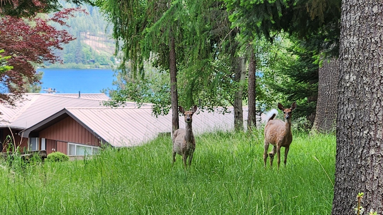 Photo of Outdoor in Carey Bay