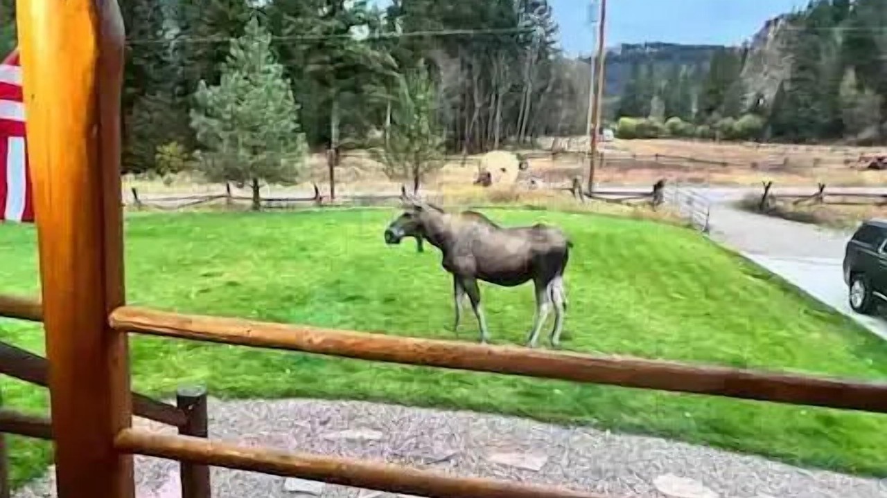 Photo of Others in Philipsburg