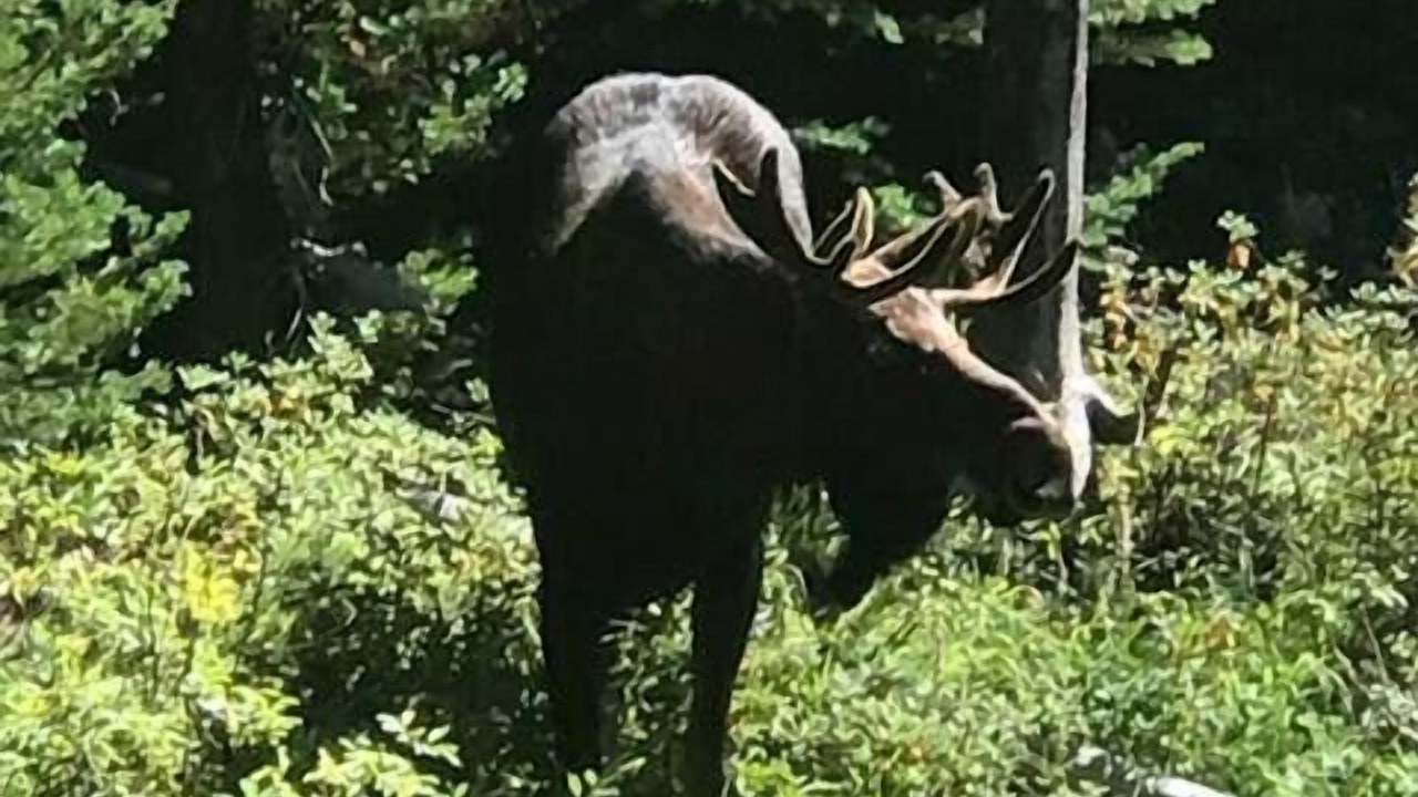 Photo of Others in Philipsburg