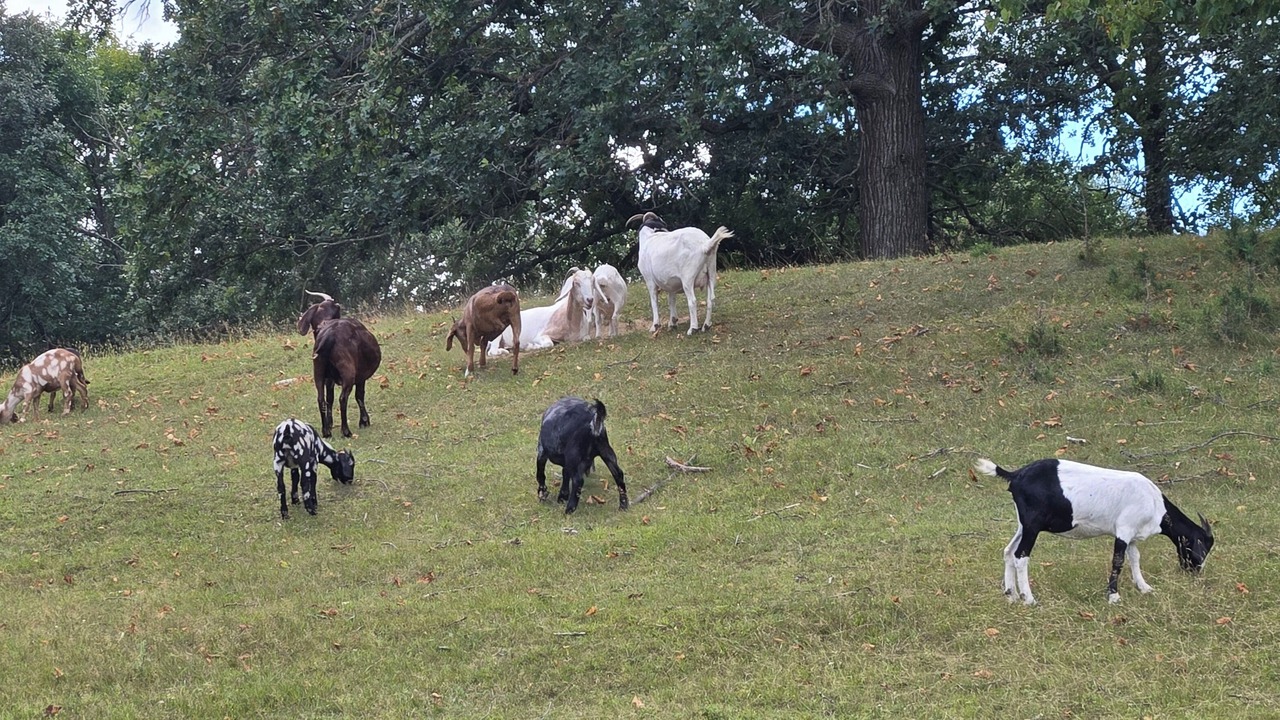 Photo of Others in Rochert