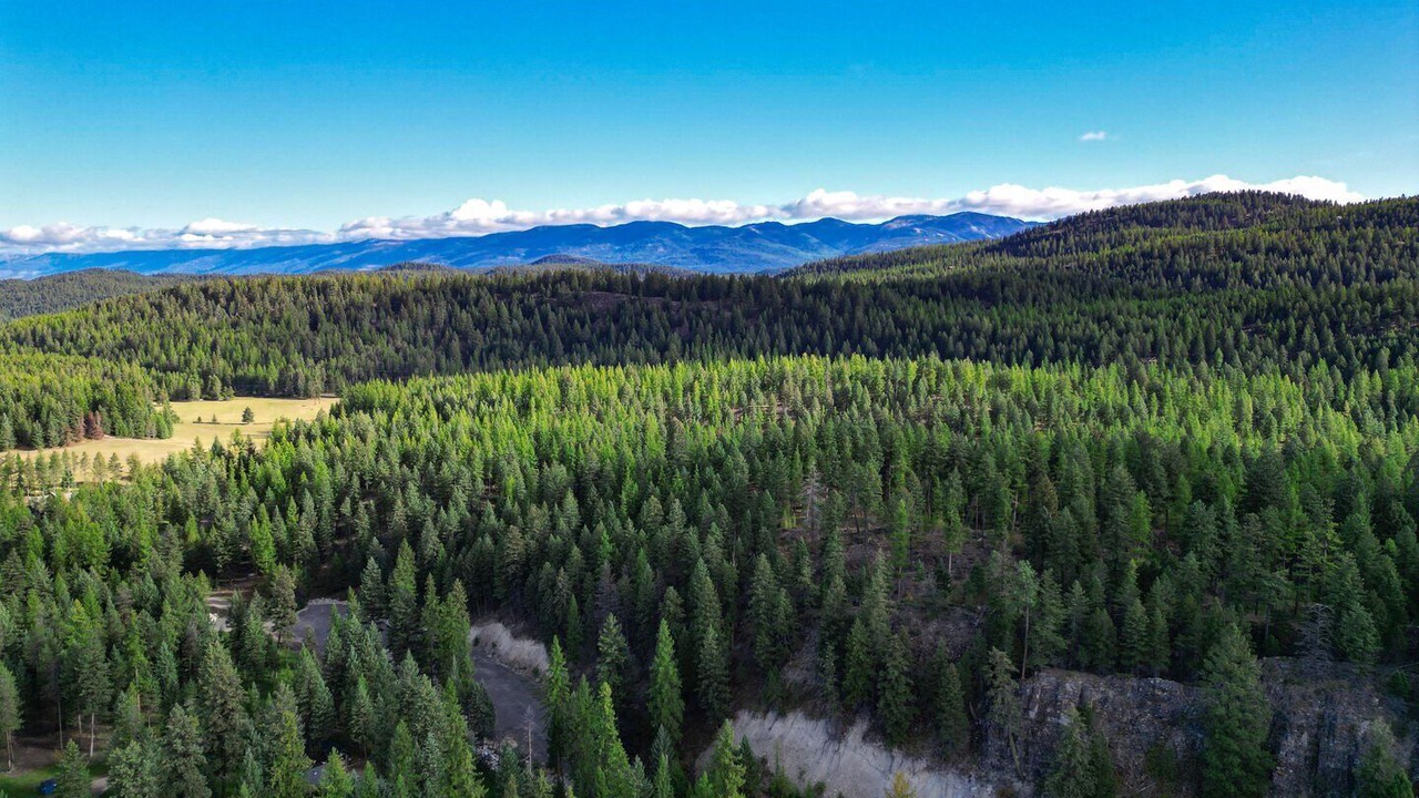 Photo of Others in Whitefish