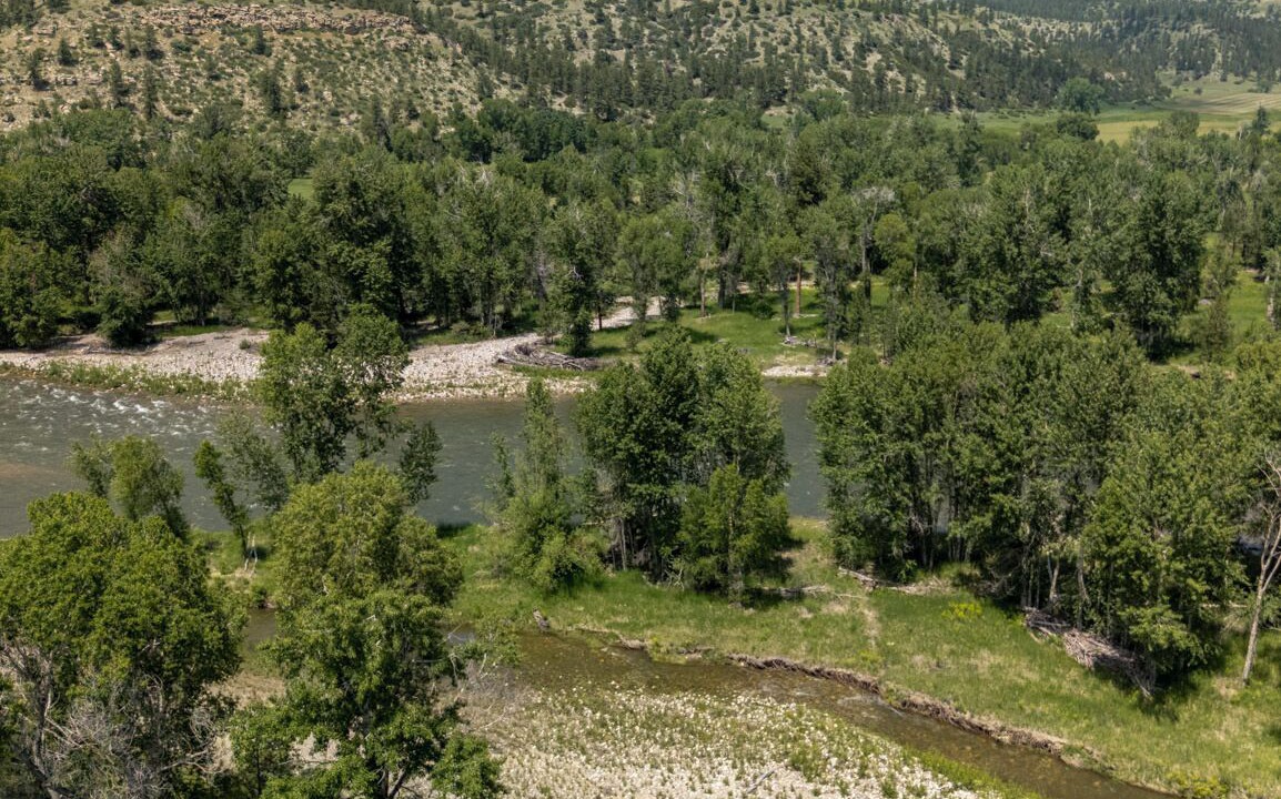 Photo of Others in Absarokee