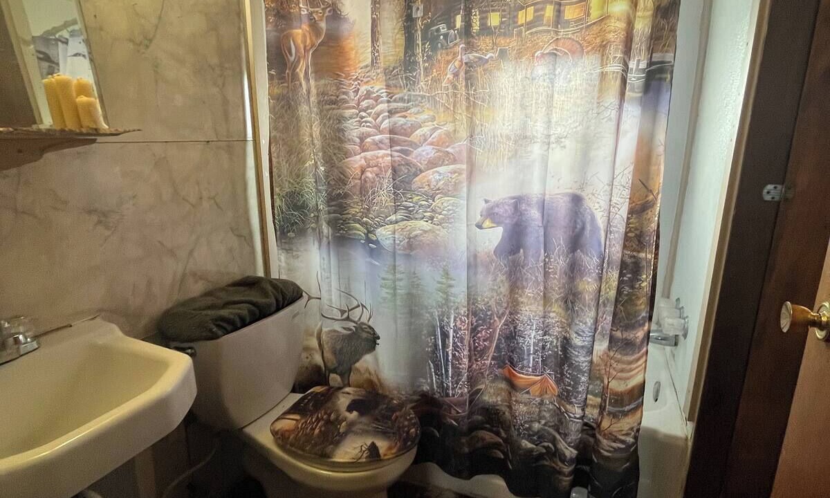Photo of Bathroom in Dillon