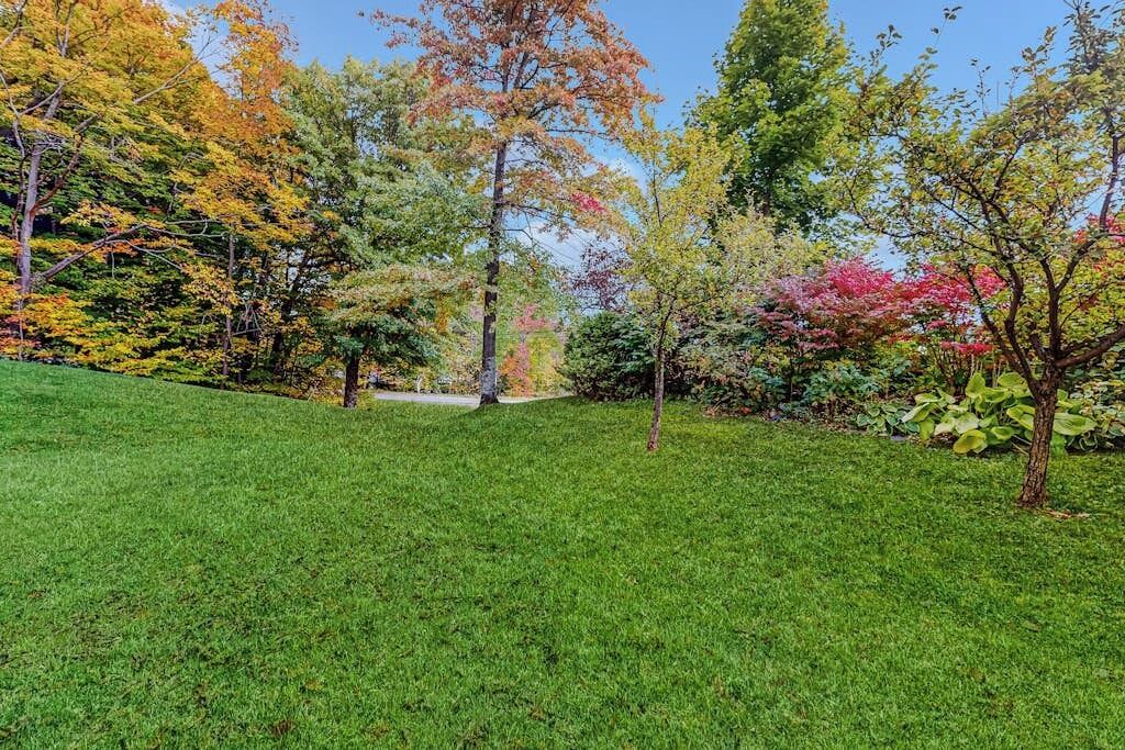 Photo of Outdoor in Warren