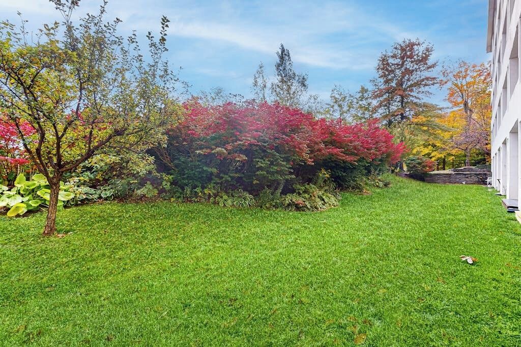 Photo of Outdoor in Warren