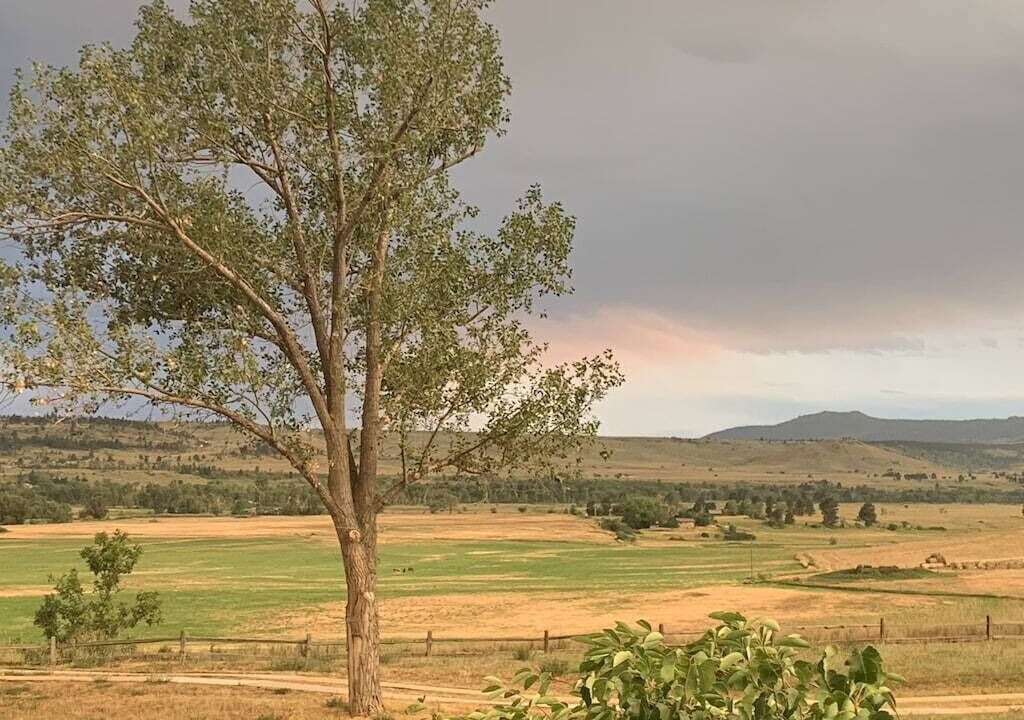 Photo of Others in Table Mesa