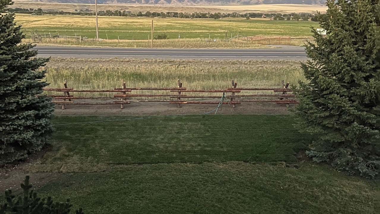 Photo of Others in Ennis