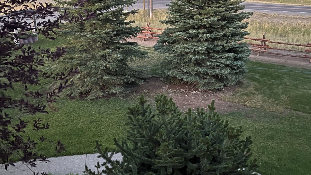 Photo of Others in Ennis