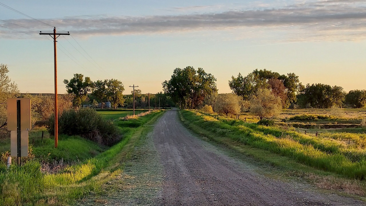 Photo of Others in Ingomar