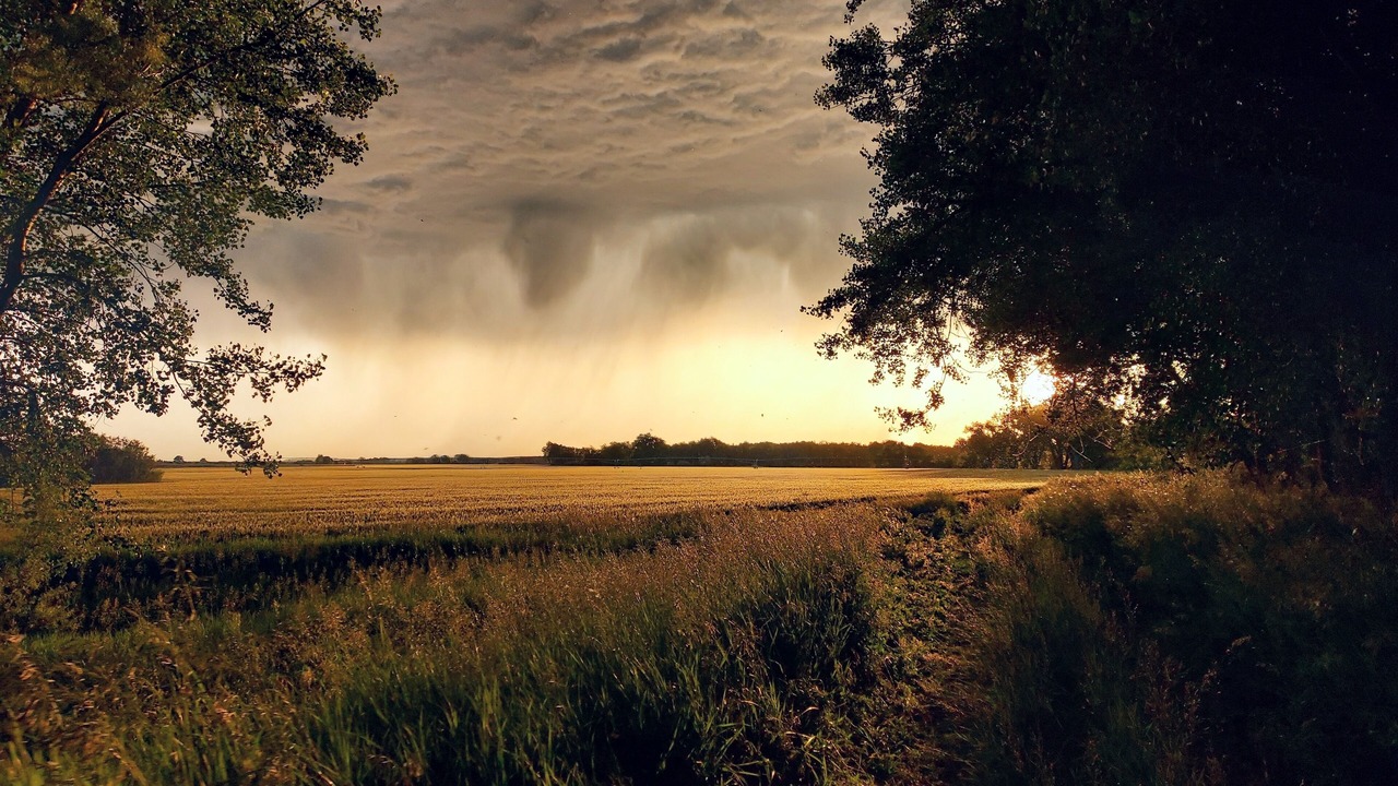 Photo of Outdoor in Ingomar