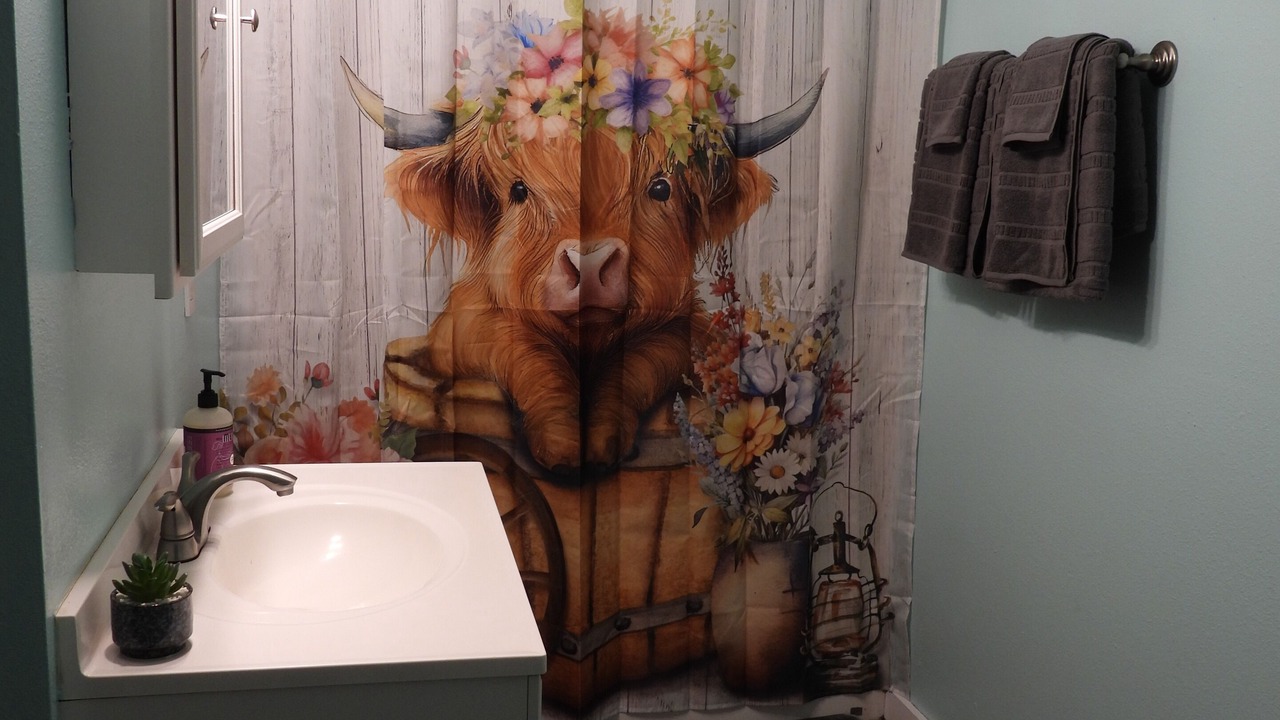 Photo of Bathroom in Darby
