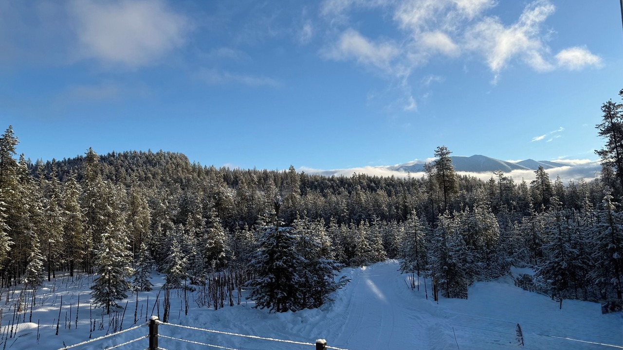 Photo of Others in Whitefish