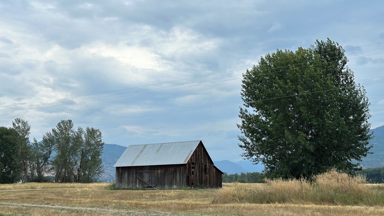 Photo of Others in Plains