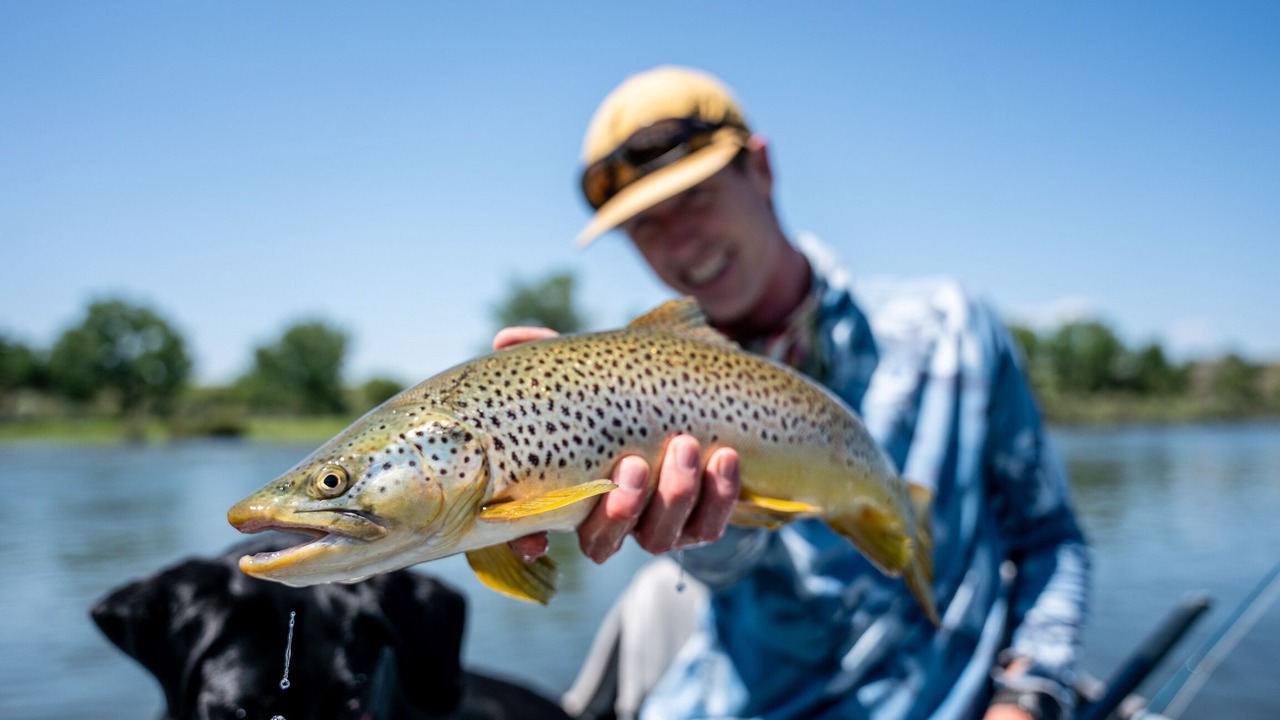 Photo of Others in Big Horn County