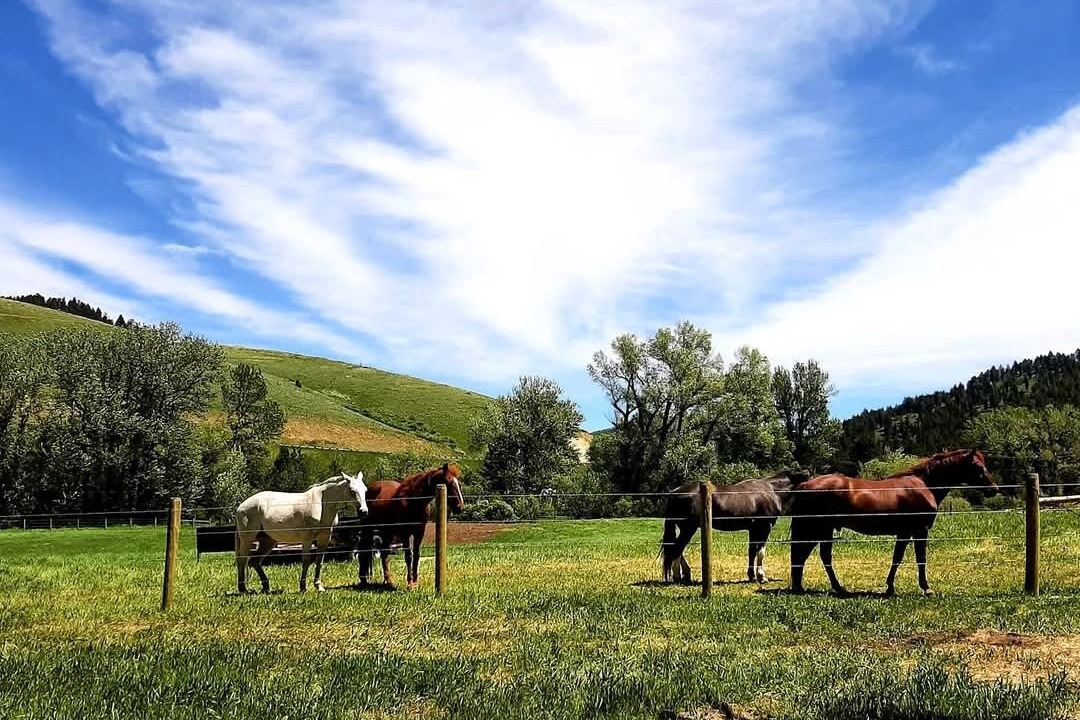 Photo of Others in Bozeman