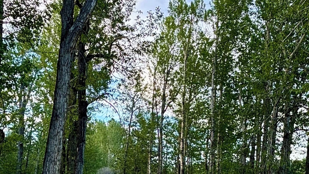 Photo of Others in Red Lodge