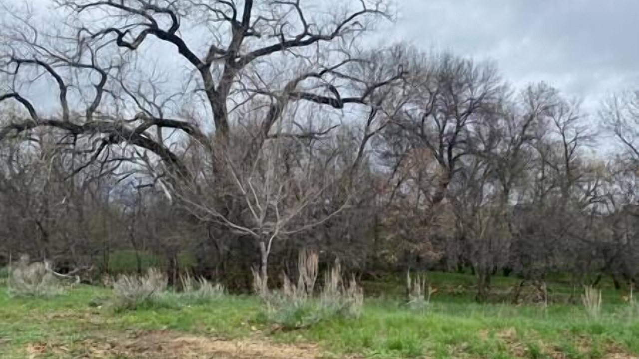 Photo of Others in Vandalia