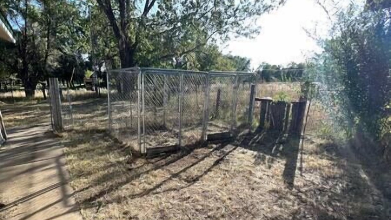 Photo of Others in Vandalia