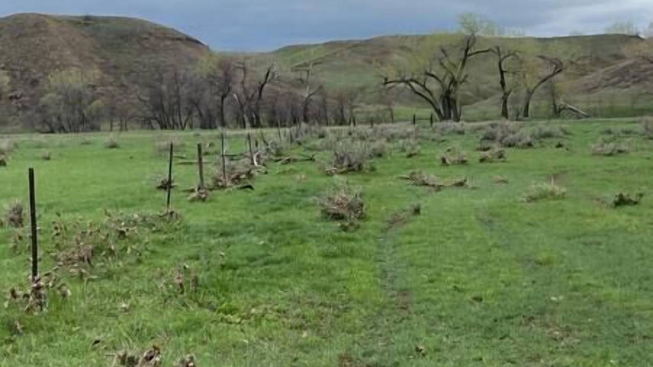 Photo of Others in Vandalia