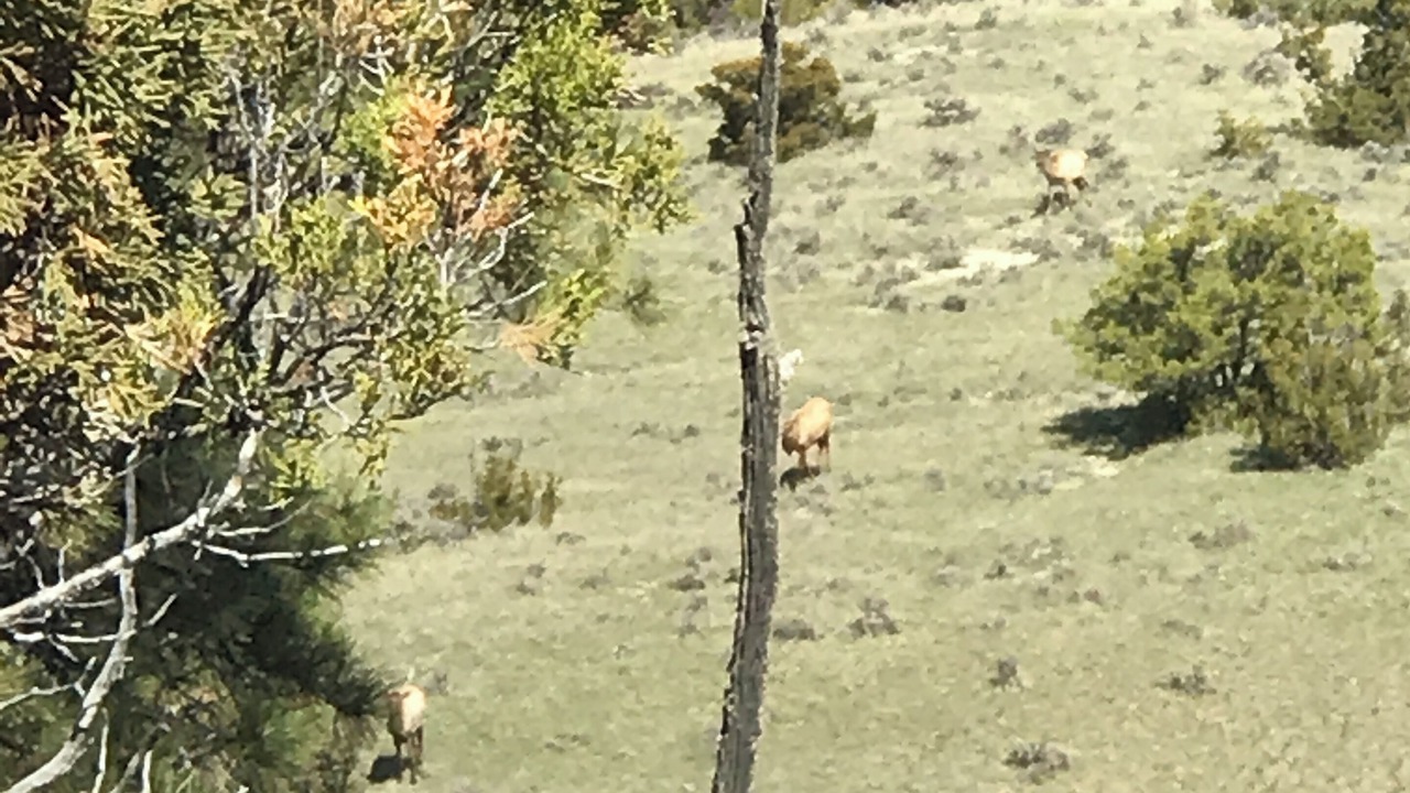 Photo of Others in Petroleum County
