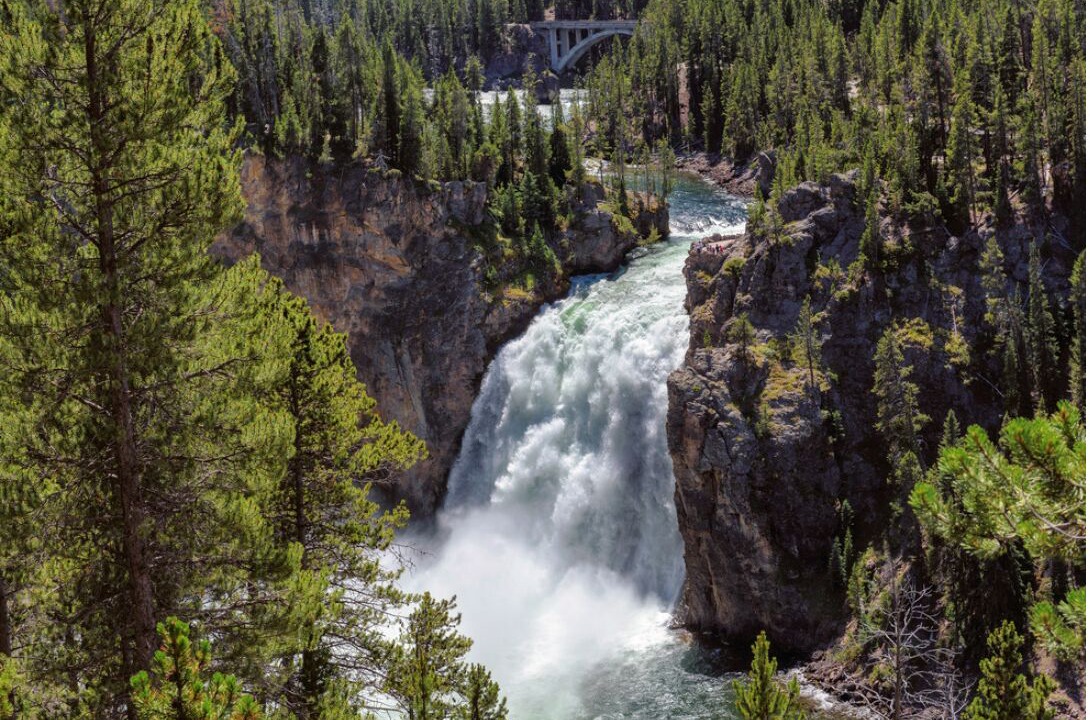 Photo of Others in West Yellowstone