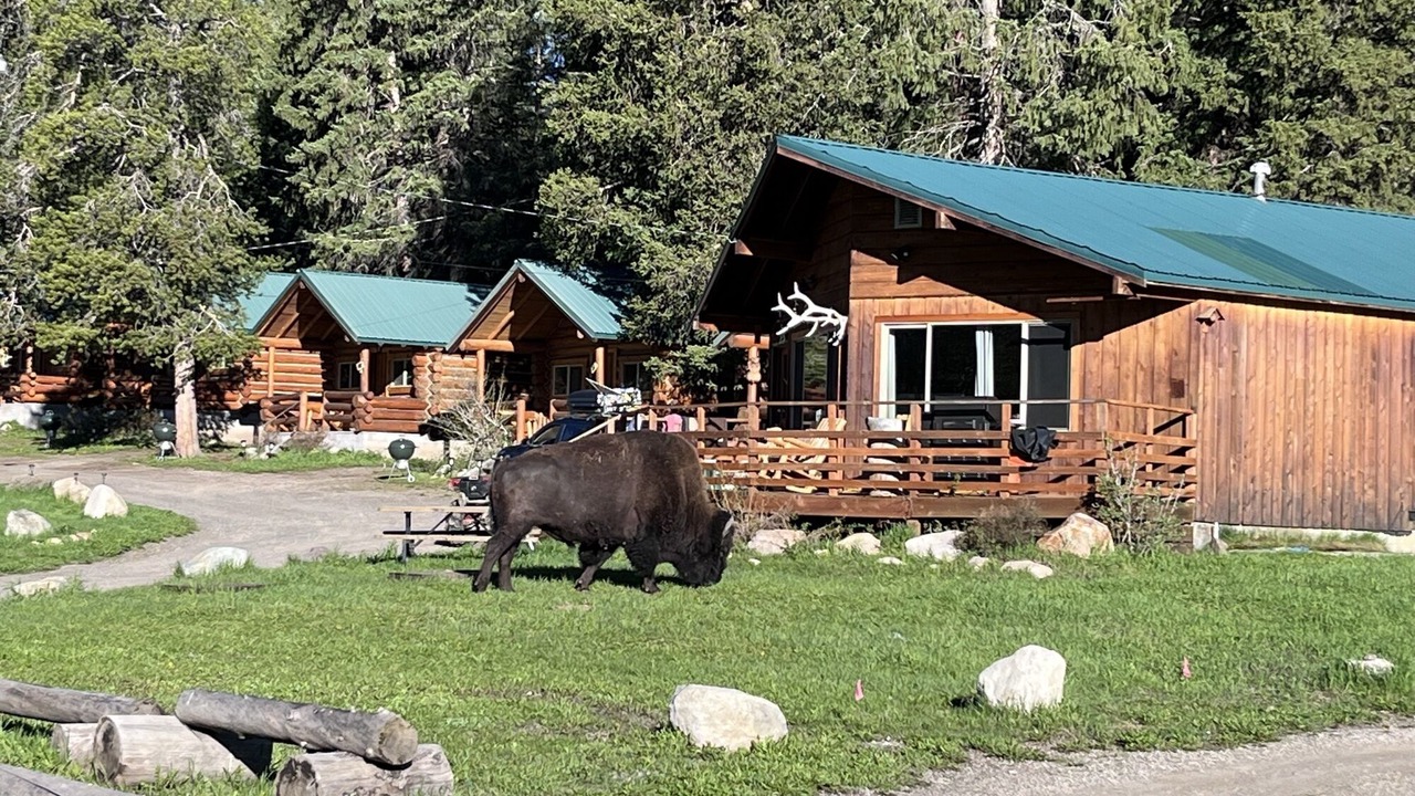 Photo of Others in Cooke City-Silver Gate