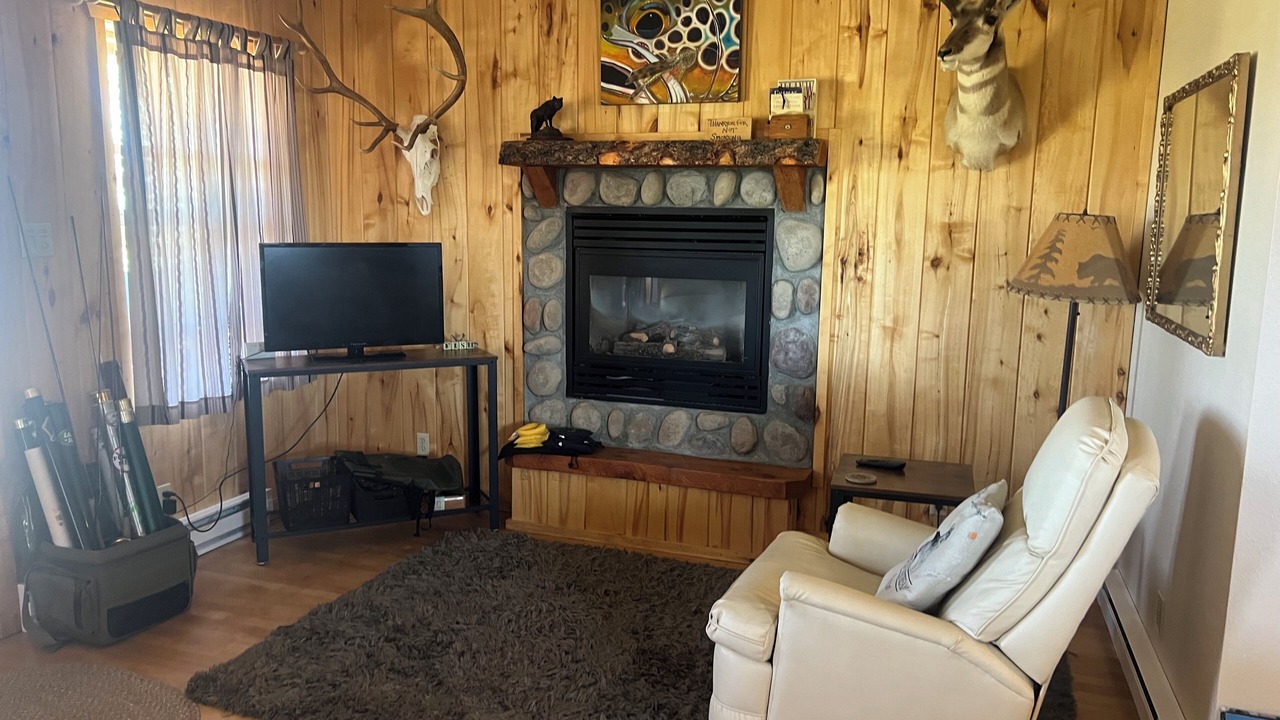 Photo of Livingroom in Dillon
