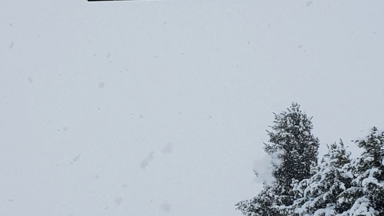 Photo of Outdoor in Dillon