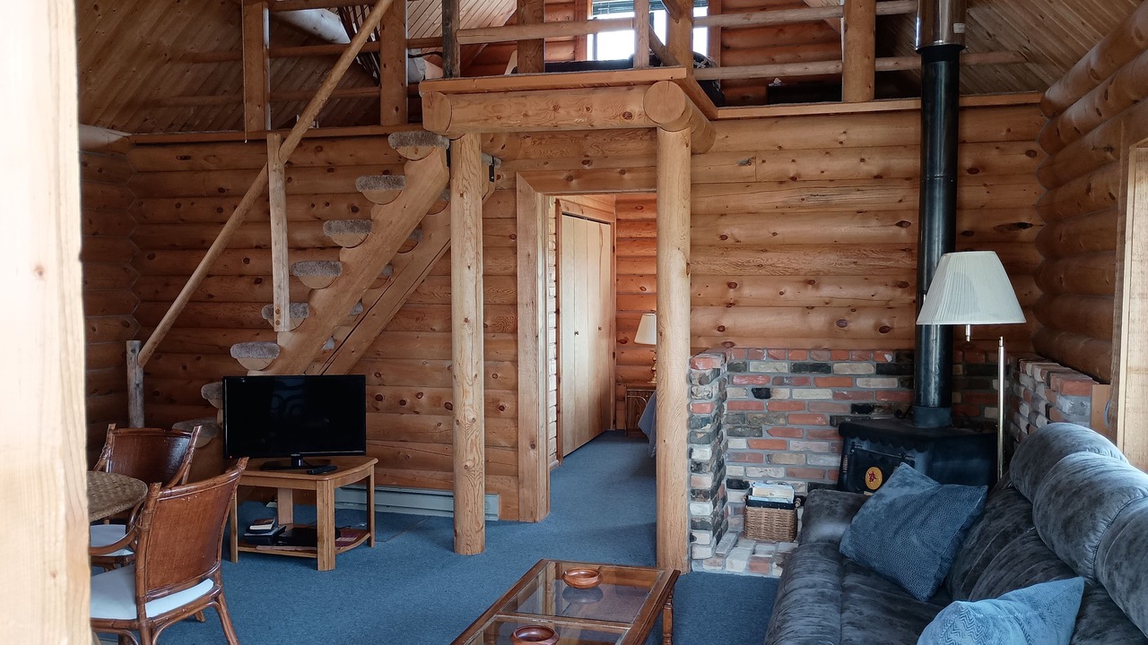 Photo of Livingroom in Dillon