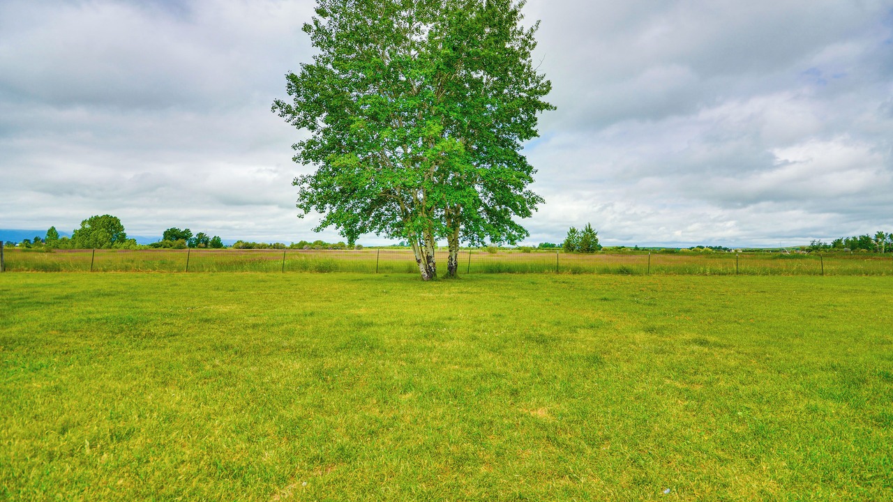 Photo of Outdoor in Roberts