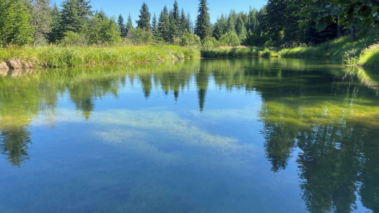 Photo of Outdoor in Trego