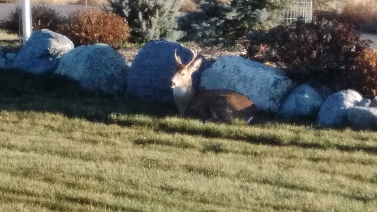 Photo of Outdoor in Kalispell