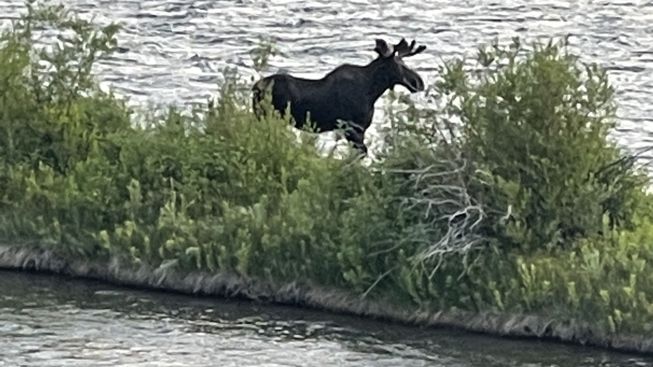 Photo of Outdoor in Big Sky