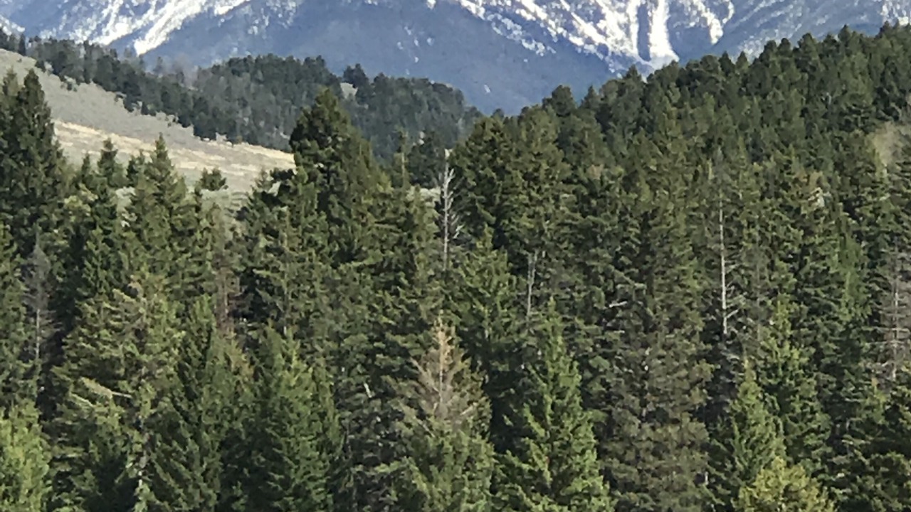 Photo of Outdoor in Big Sky