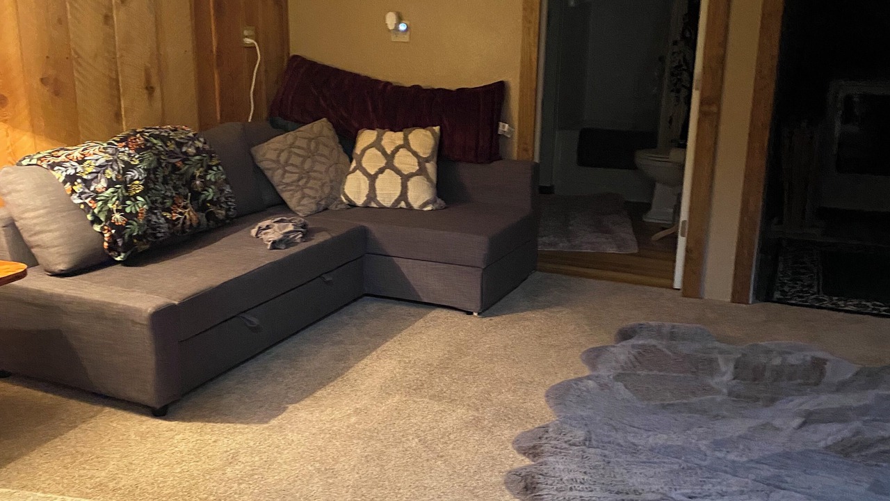 Photo of Livingroom in Heart of Missoula