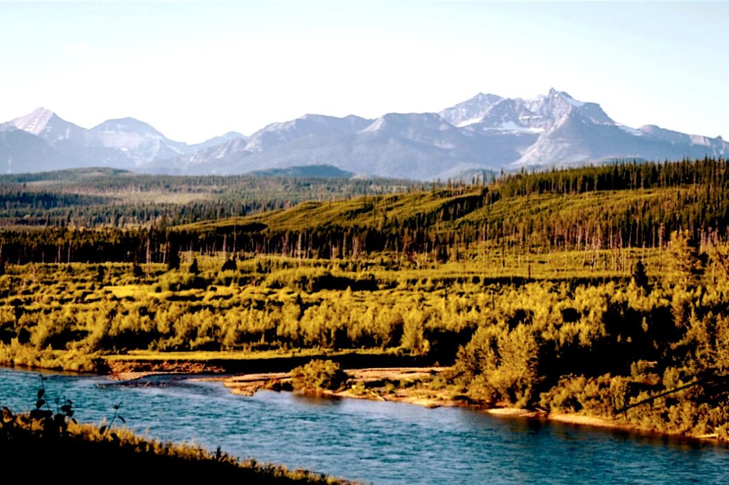 Photo of Others in Polebridge