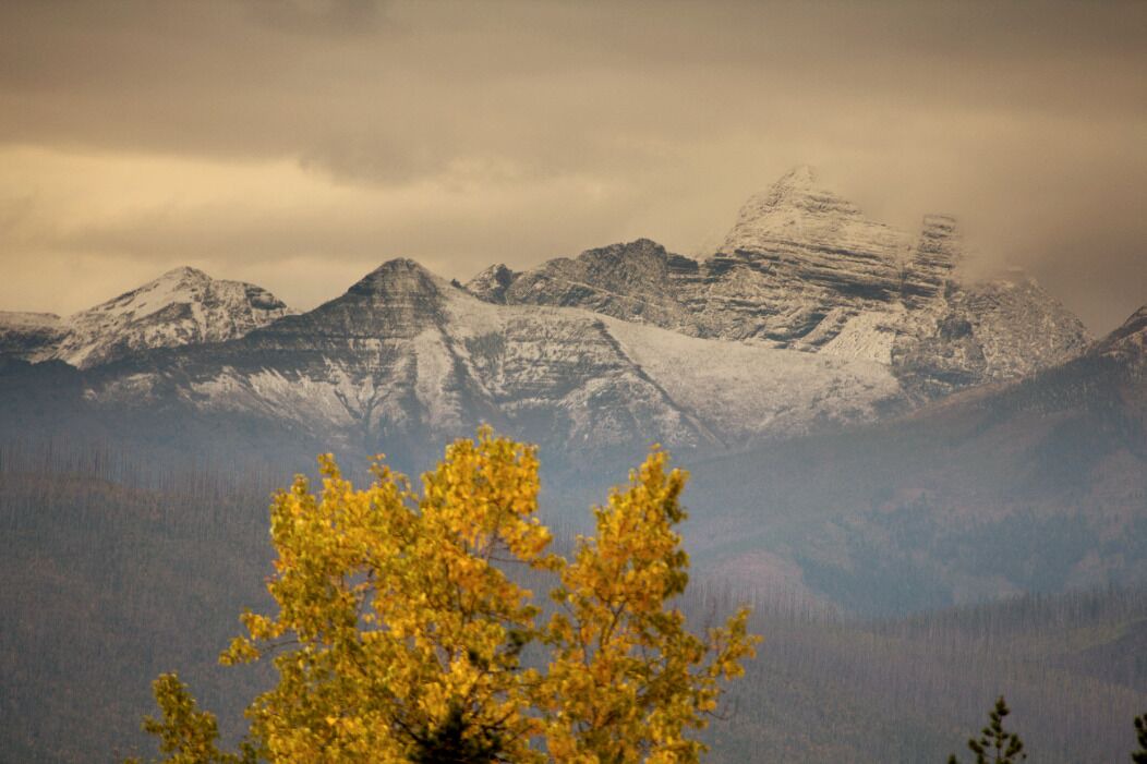 Photo of Others in Polebridge