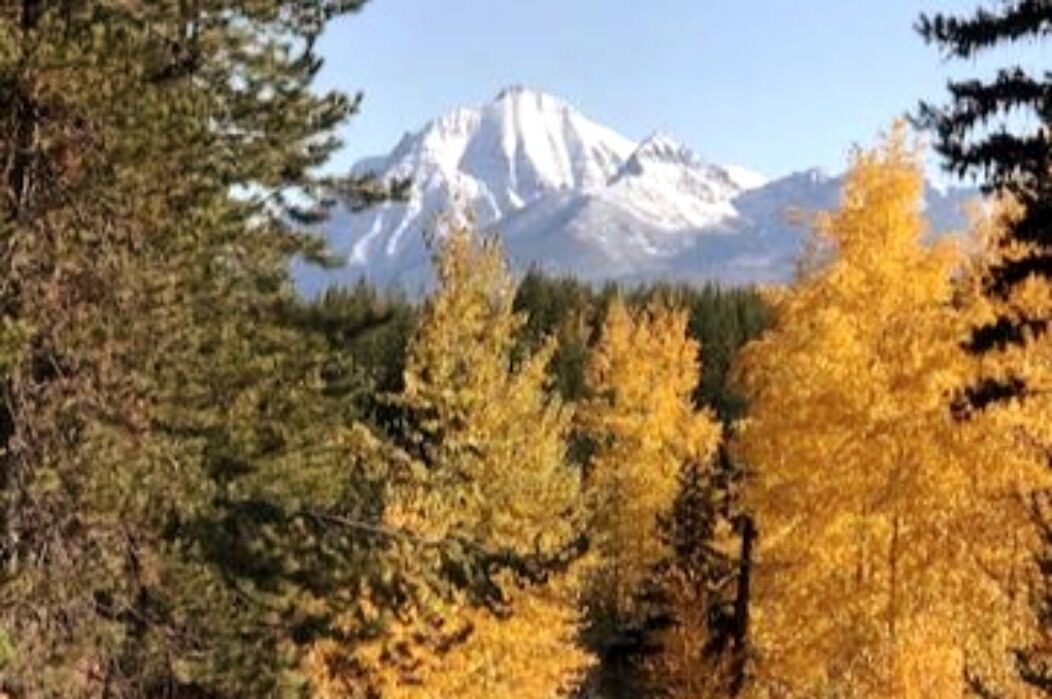 Photo of Others in Polebridge