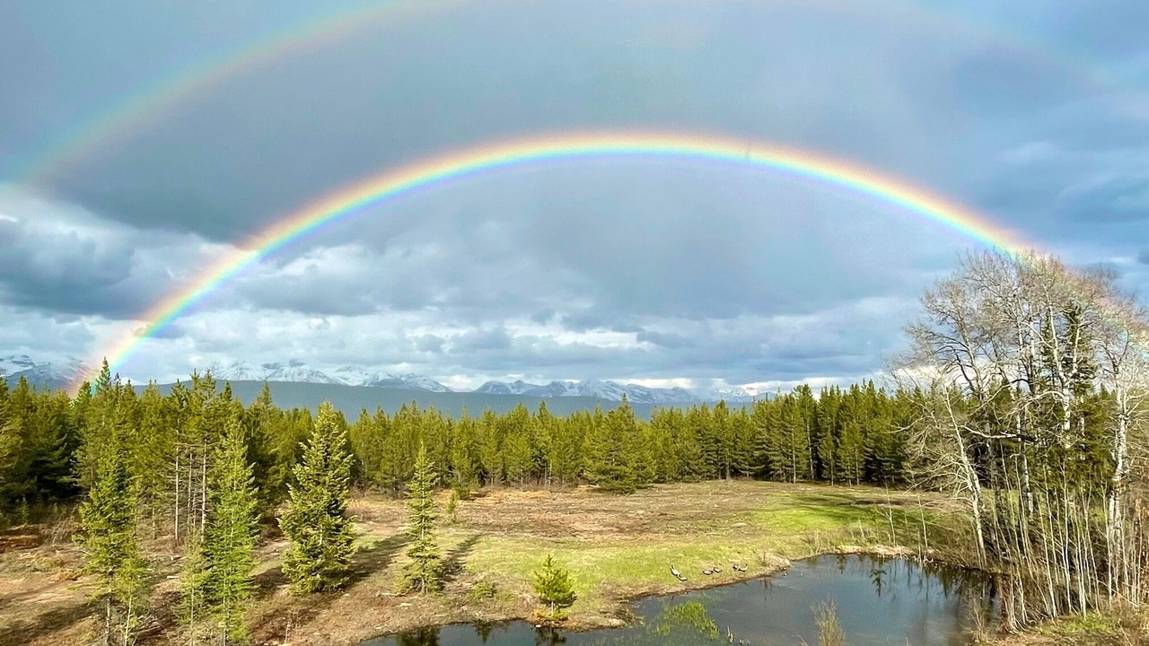 Photo of Others in Polebridge