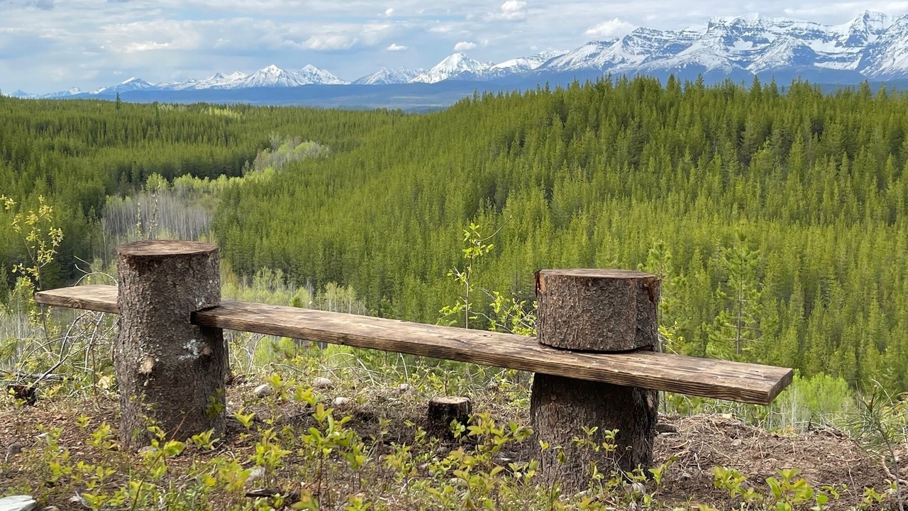 Photo of Others in Polebridge