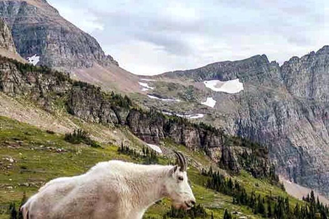 Photo of Others in Polebridge