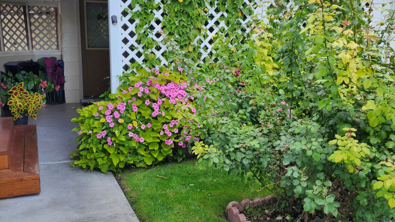 Photo of Outdoor in Idaho Falls