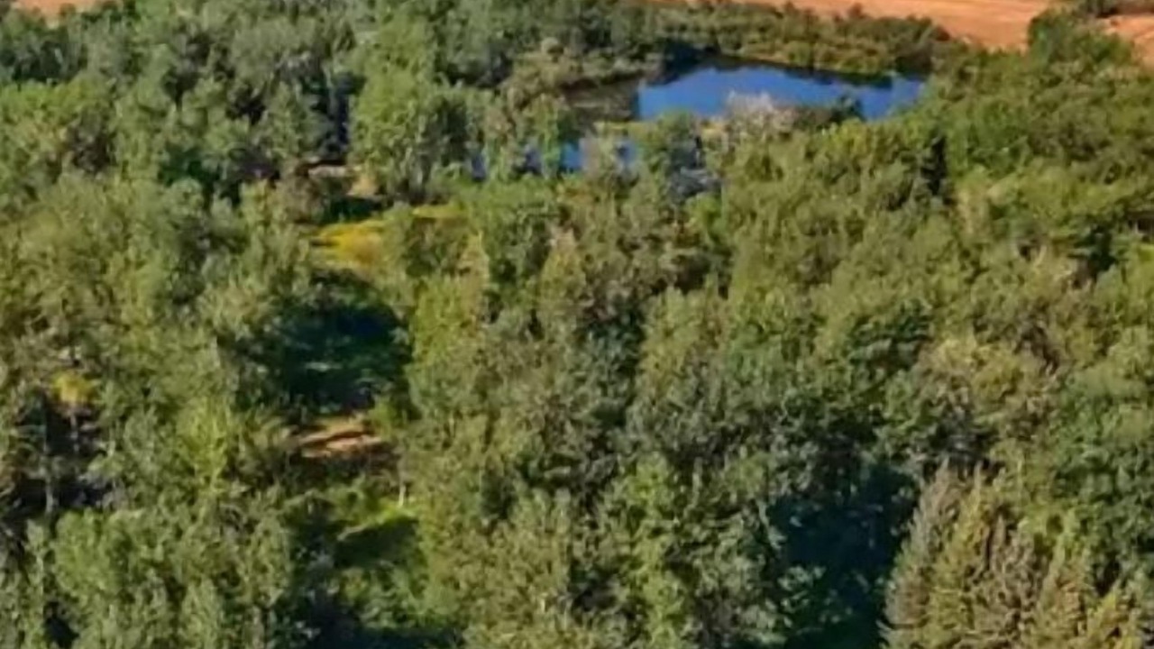 Photo of Outdoor in Roberts