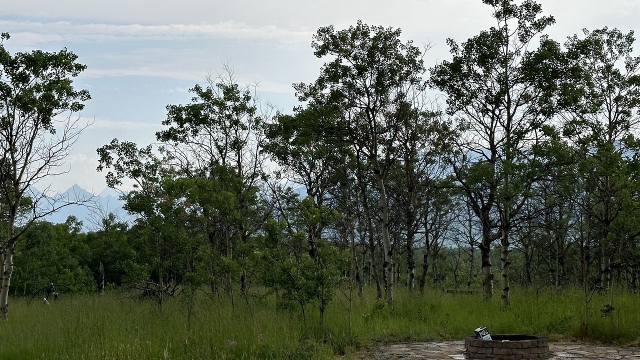 Photo of Outdoor in Babb