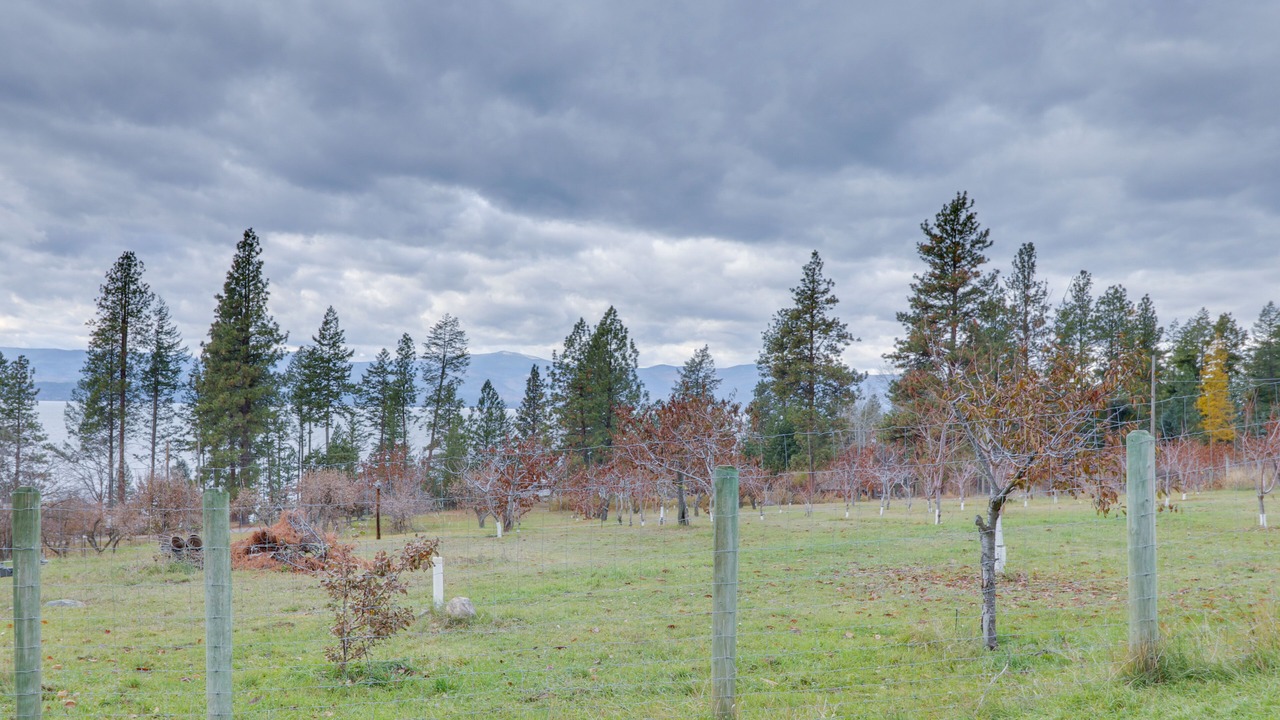 Photo of Outdoor in Woods Bay